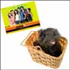 Life of Emotions - Click here to View more details about this Product
